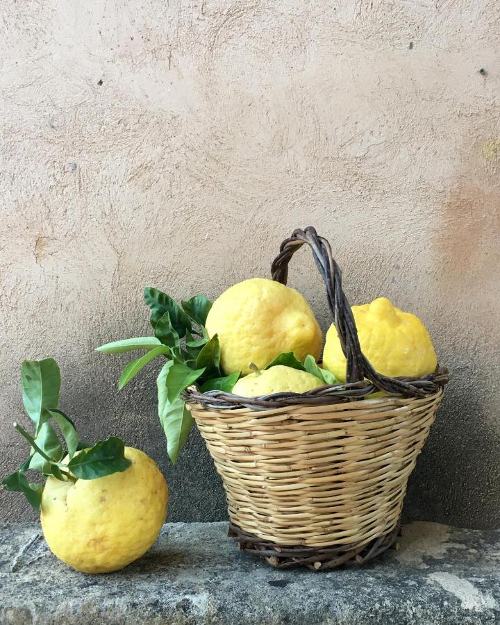Masseria Caretti Grande Casalabate Zewnętrze zdjęcie